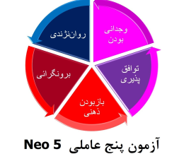 کاربرد تست نئو