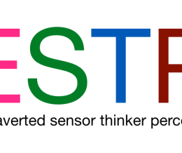 تیپ شخصیتی ESTP (کار آفرین)