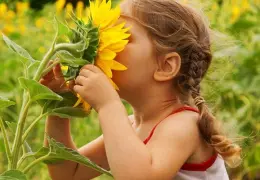 هوش طبیعت گرا