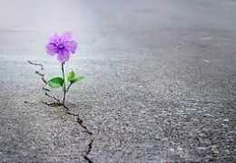 راههای امیدوار بودن