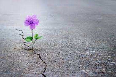 راههای امیدوار بودن