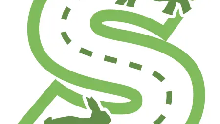 بعد رفتاریs (ثبات)تست دیسک