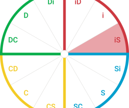 تیپ شخصیتIS