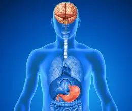 معده درد عصبی چیست؟