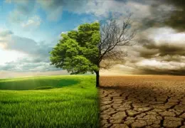 تاثیرتغییرات اقلیمی بر سلامت روان