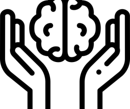 تست مکانیزم های دفاعی (DSQ)